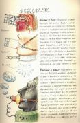 Codex Seraphinianus